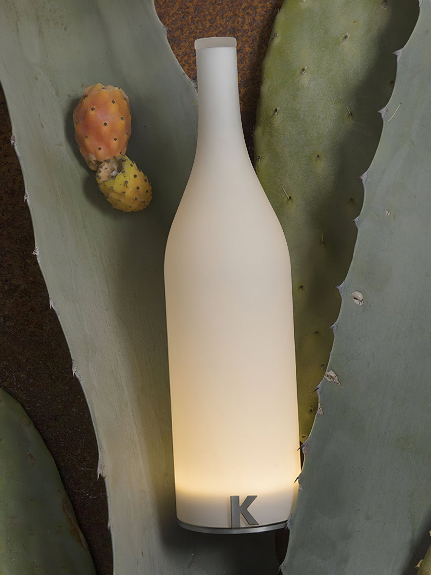 Bacco Built-in Battery Table Lamp ∅ 3.9″ x H 13.8″ / Dia 10cm x H 35cm / White & Warm Light / Touch Switch Table lamp