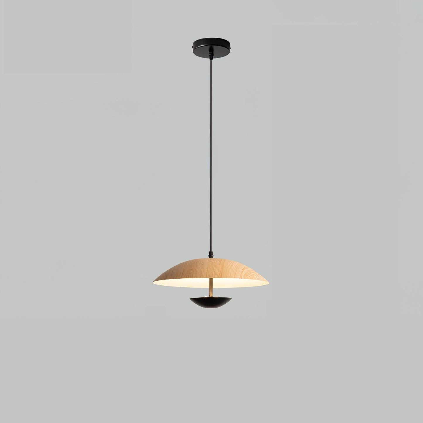 Frisbee Pendant Lamp