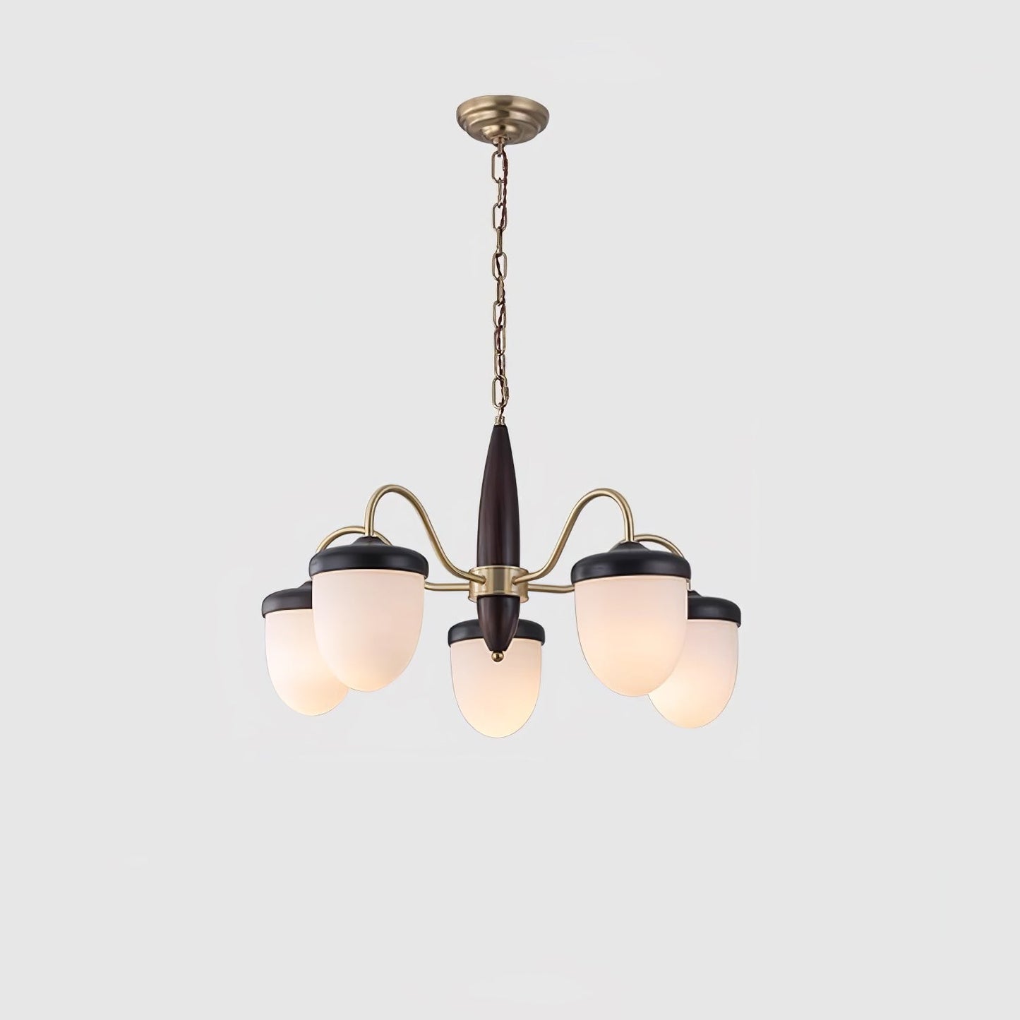 Hazelnut Branch Chandelier Dia 60cm x H 42cm / ∅ 23.6″ x H 16.5″ / Brass & Walnut wood Chandelier
