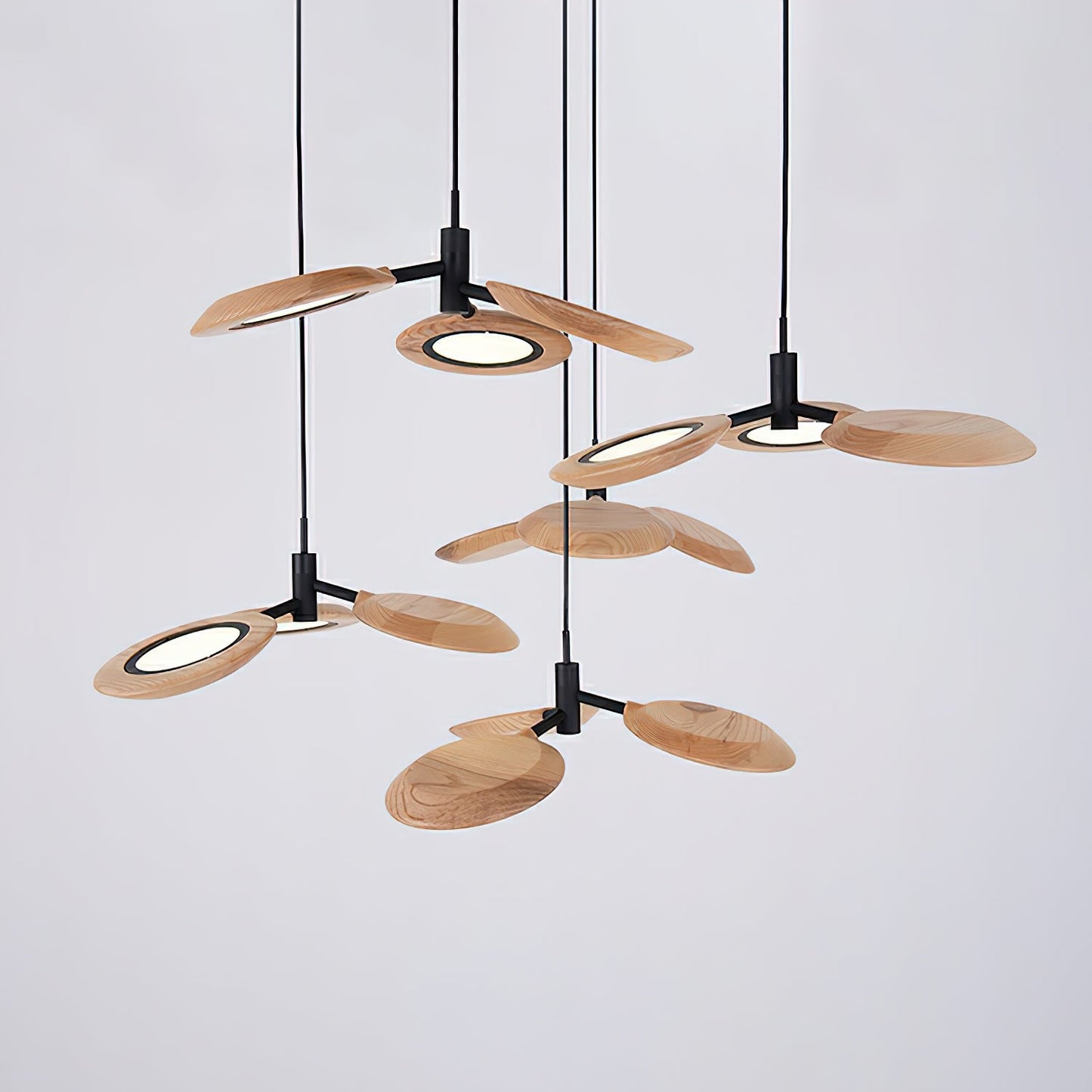 Hotaru Chandelier Chandelier
