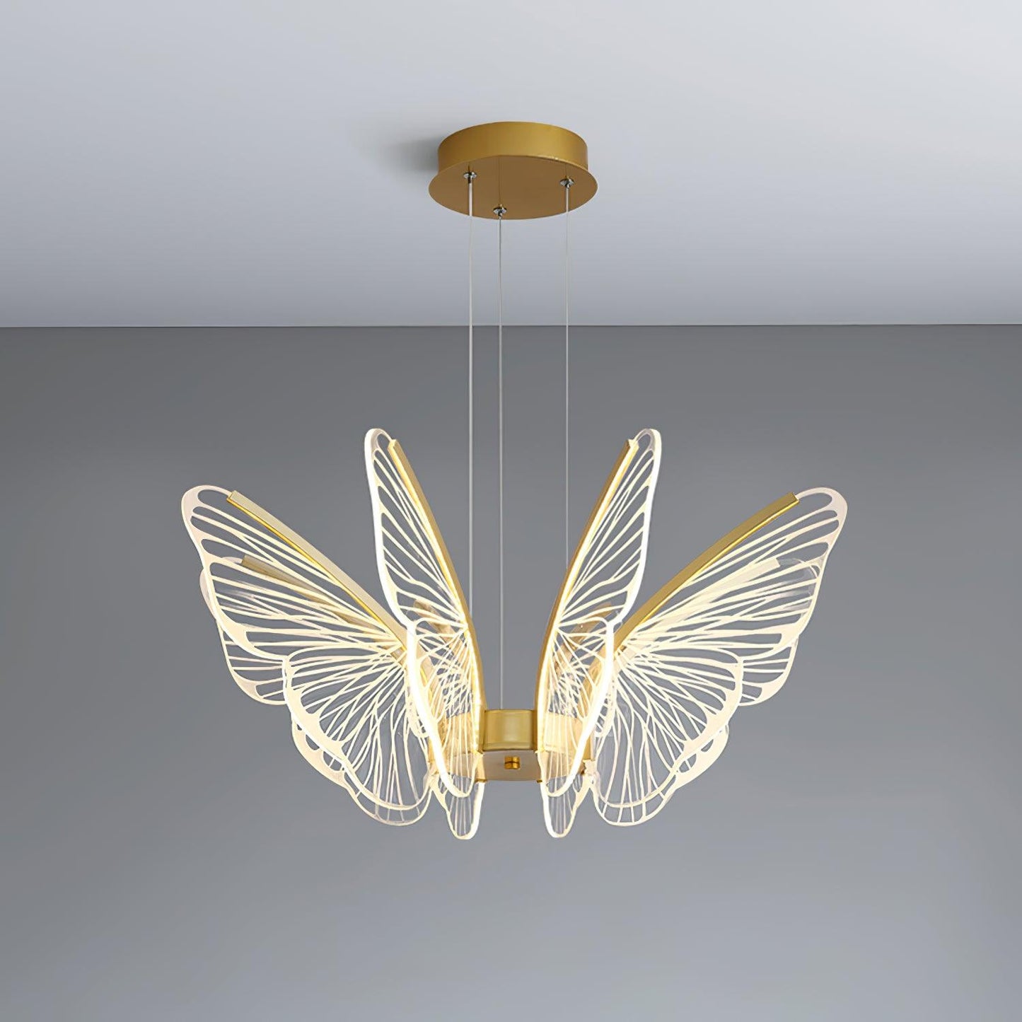 Phalaenopsis-Kronleuchter