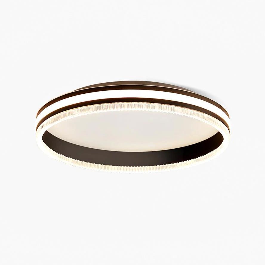 Simple Acrylic Ring Ceiling Light