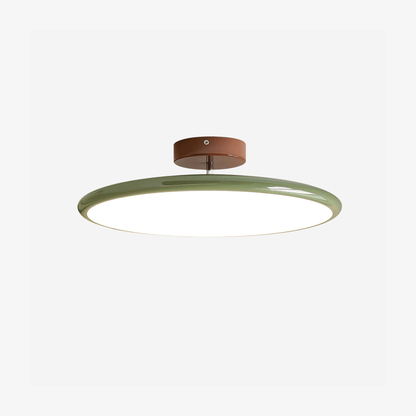 Drift Adjustable Ceiling Lamp