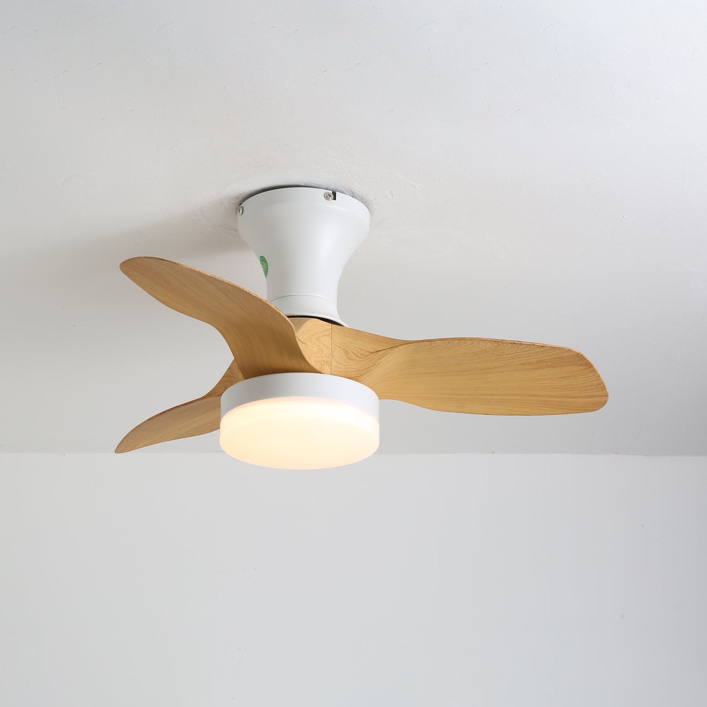 Brisa Ceiling Fan Light