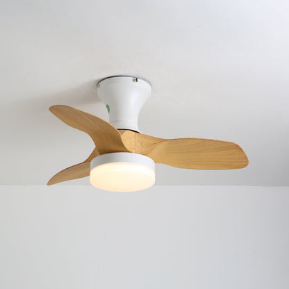 Brisa Ceiling Fan Light