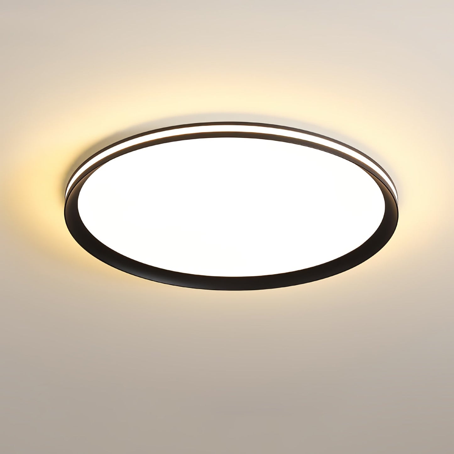 Acrylic Circular LED Ceiling Light