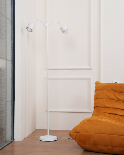 Ambient Floor Lamp