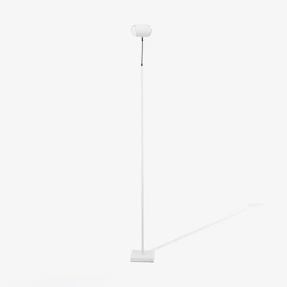 Ambient Floor Lamp