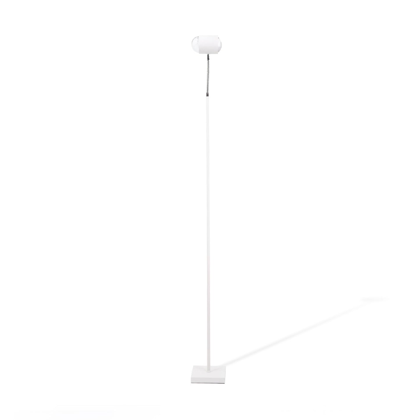 Ambient Floor Lamp