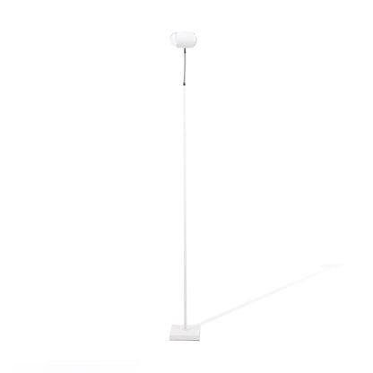 Ambient Floor Lamp