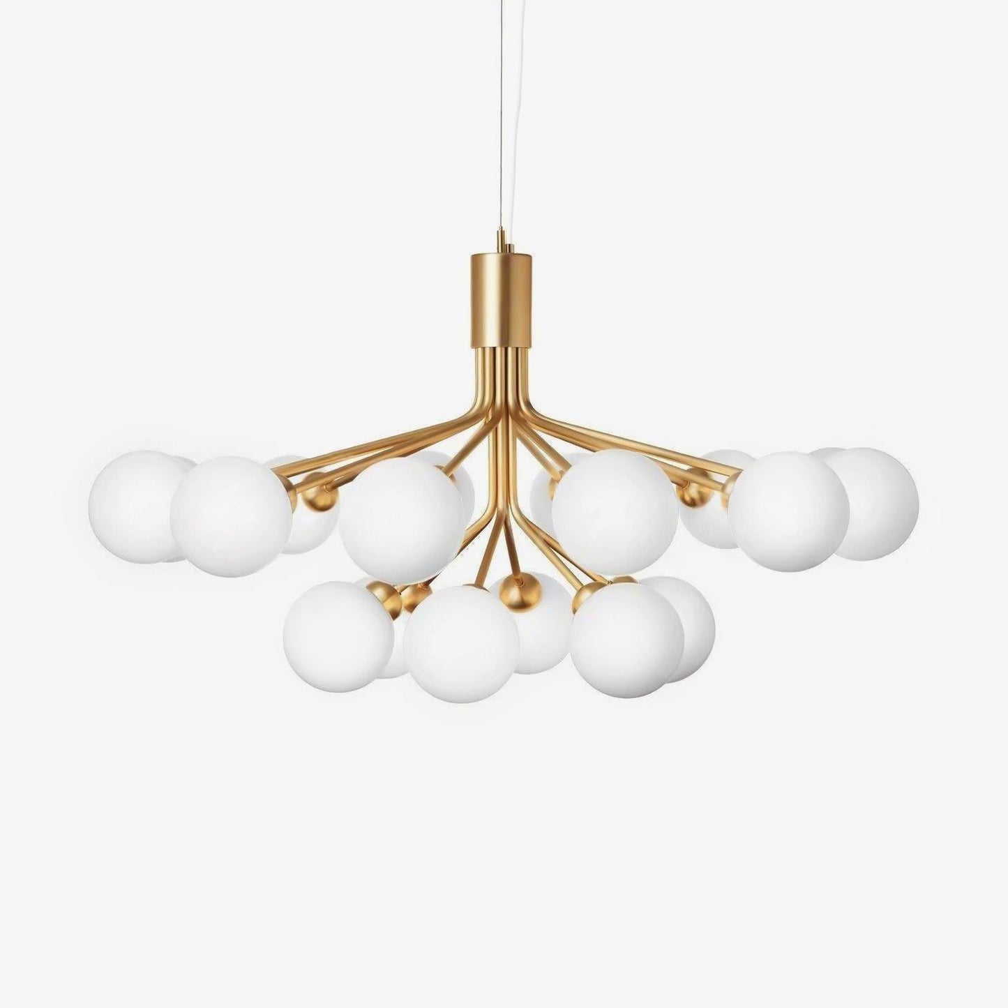 Apiales Chandelier