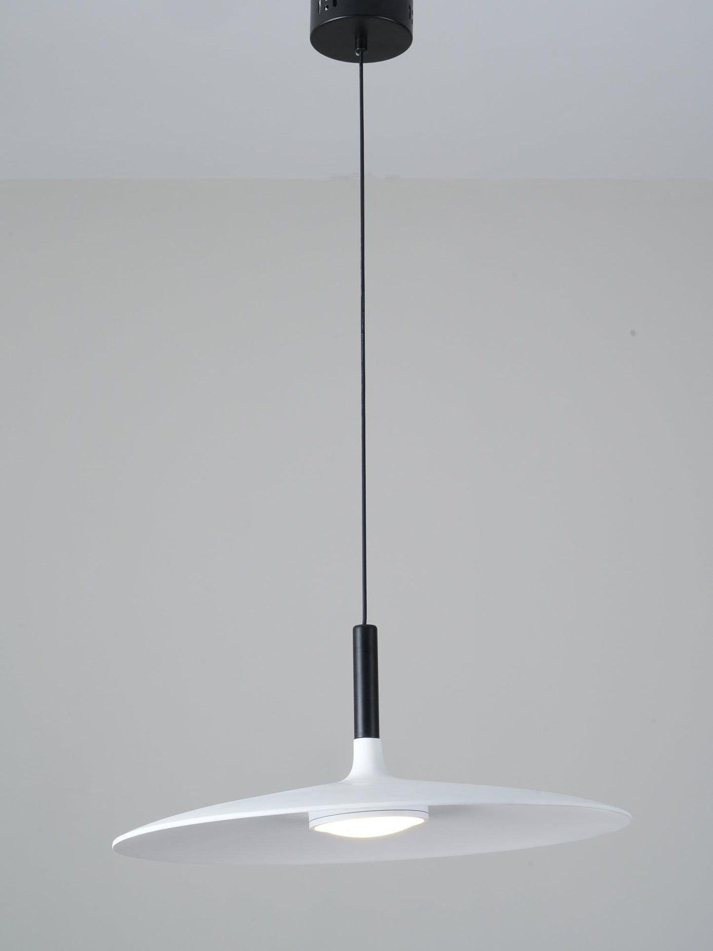 Aplomb Metal Pendant Lamp