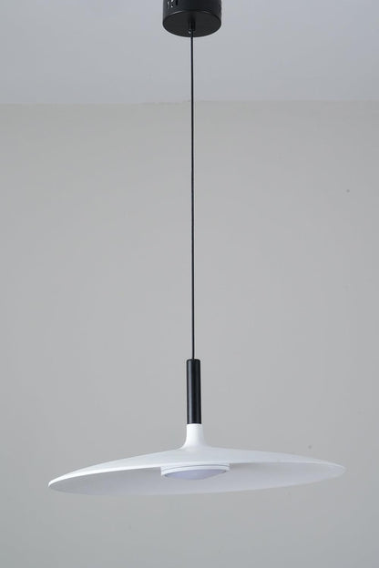 Aplomb Metal Pendant Lamp