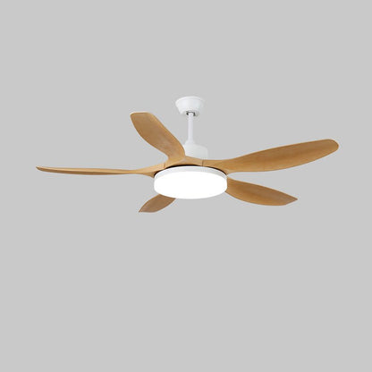 Keltis 42"/52" Ceiling Fan Light