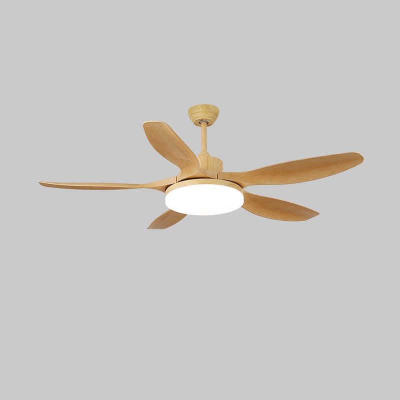 Keltis 42"/52" Ceiling Fan Light