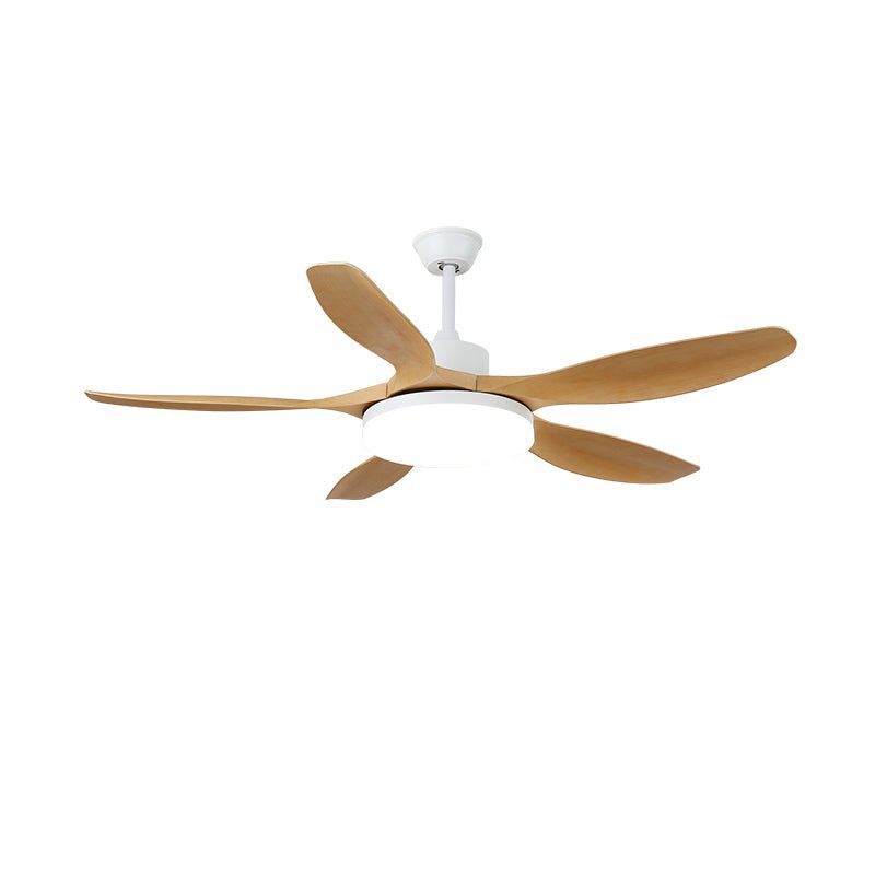 Keltis 42"/52" Ceiling Fan Light