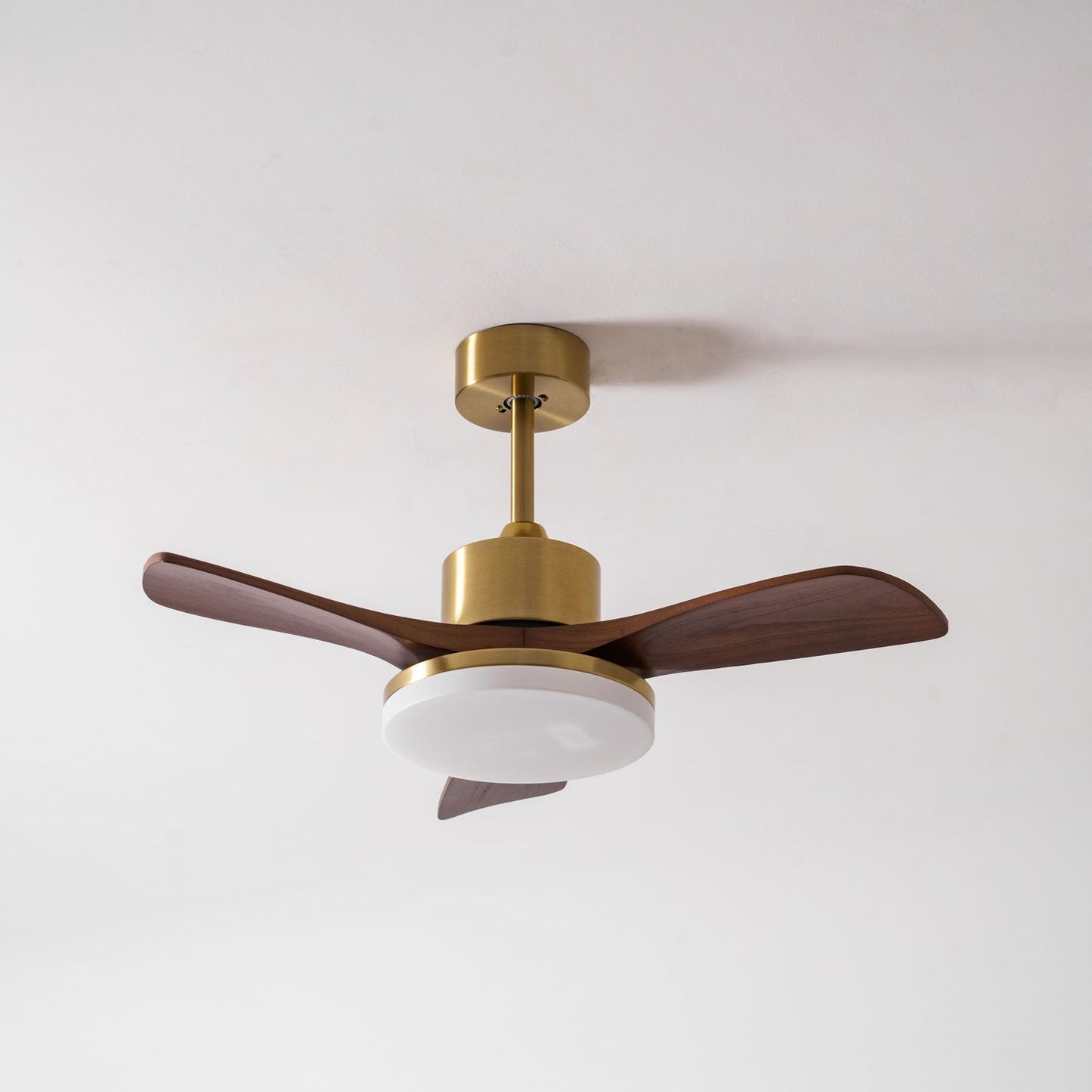 Aurevo Ceiling Fan Light