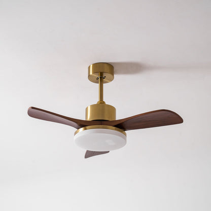Aurevo Ceiling Fan Light