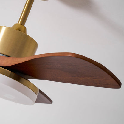 Aurevo Ceiling Fan Light