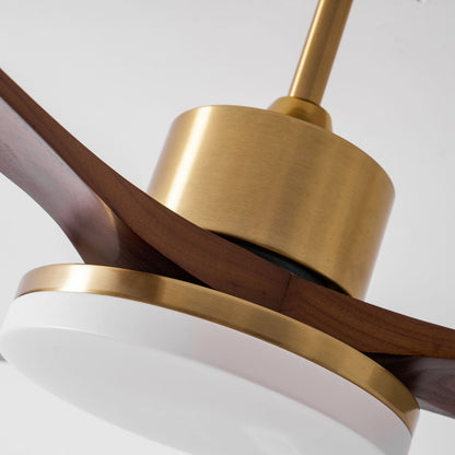 Aurevo Ceiling Fan Light