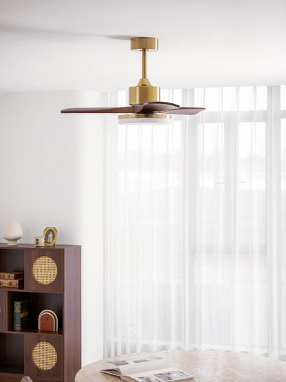 Aurevo Ceiling Fan Light