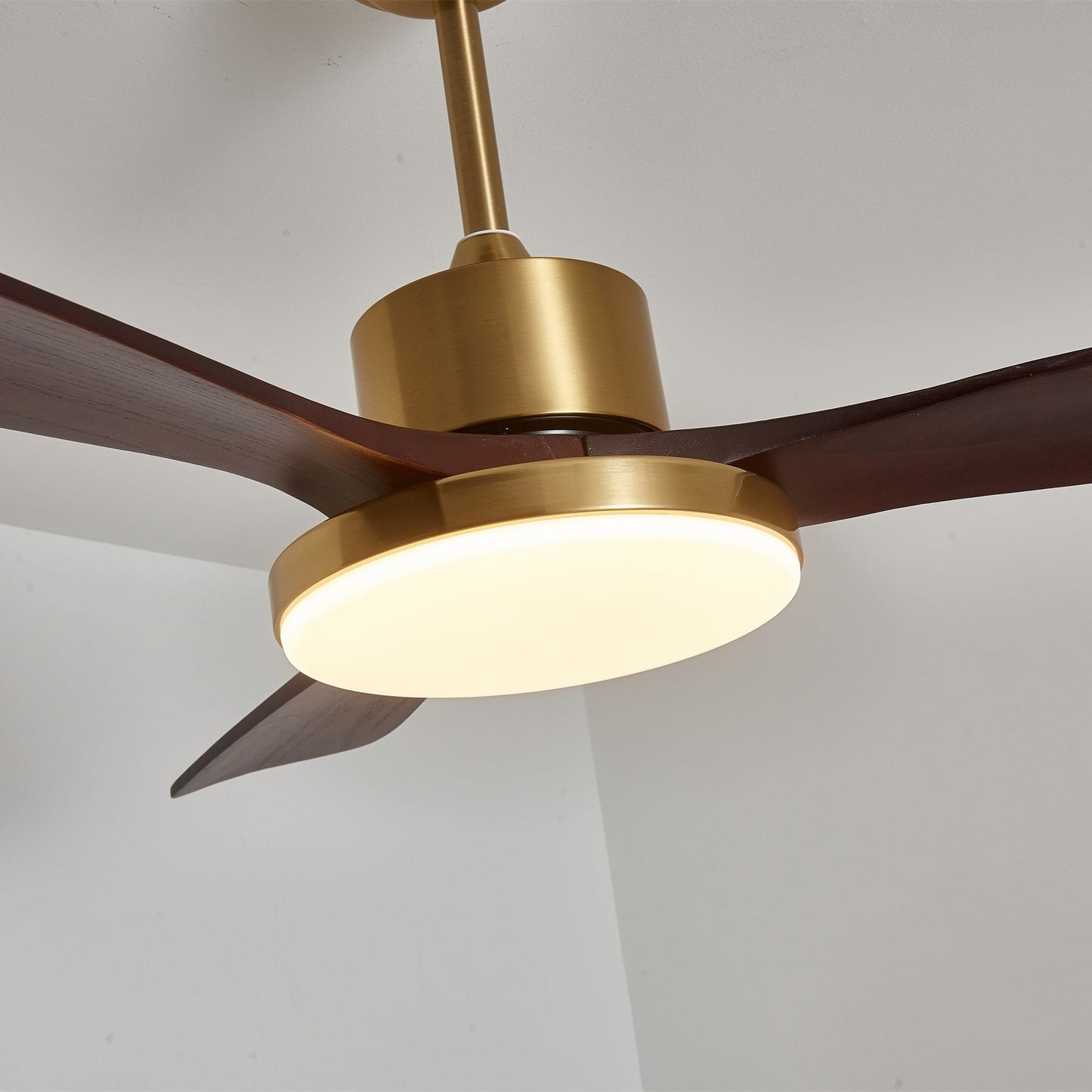 Aurevo Ceiling Fan Light