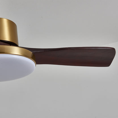 Aurevo Ceiling Fan Light