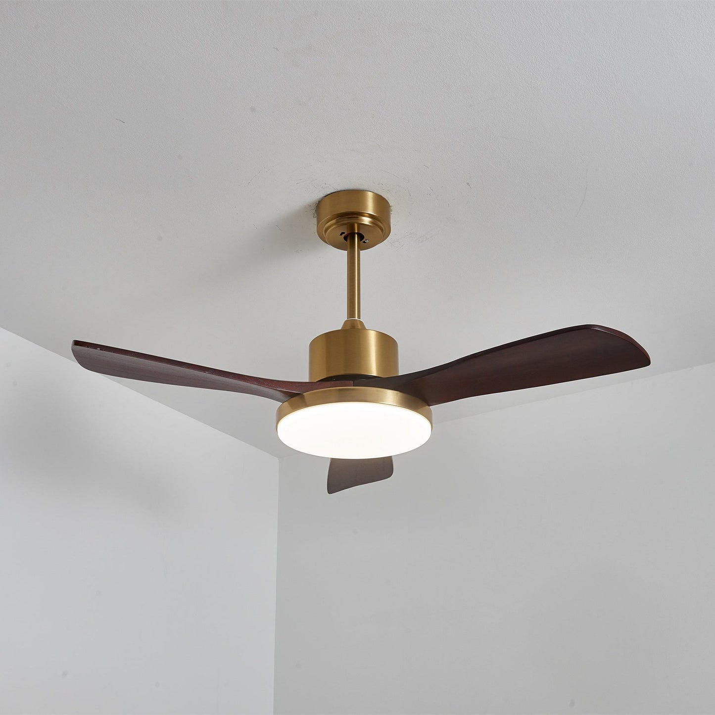 Aurevo Ceiling Fan Light