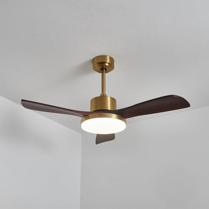 Aurevo Ceiling Fan Light