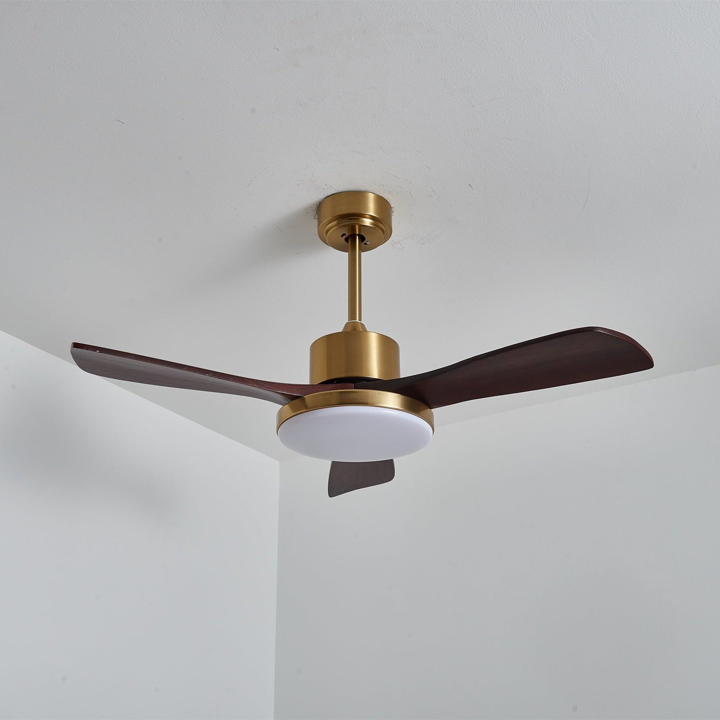 Aurevo Ceiling Fan Light