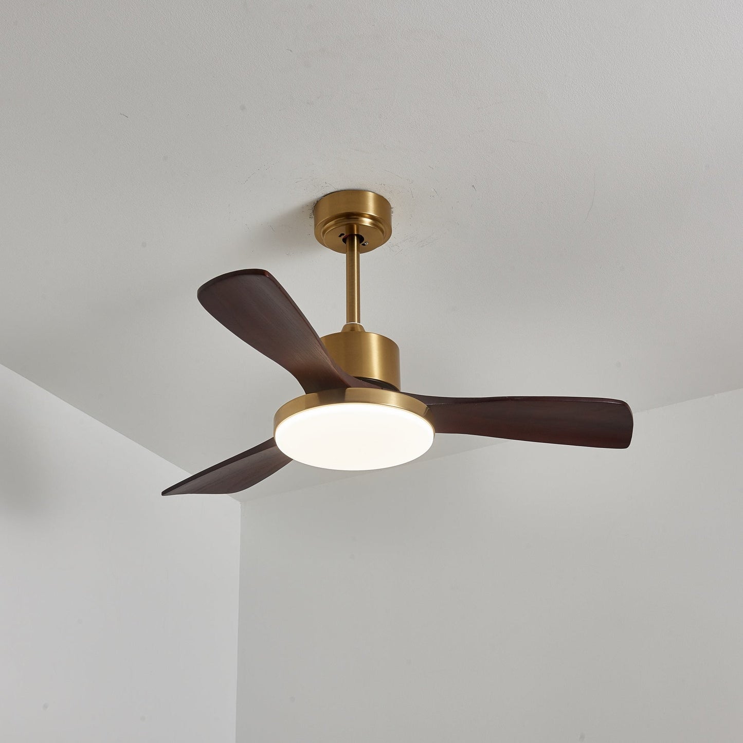 Aurevo Ceiling Fan Light
