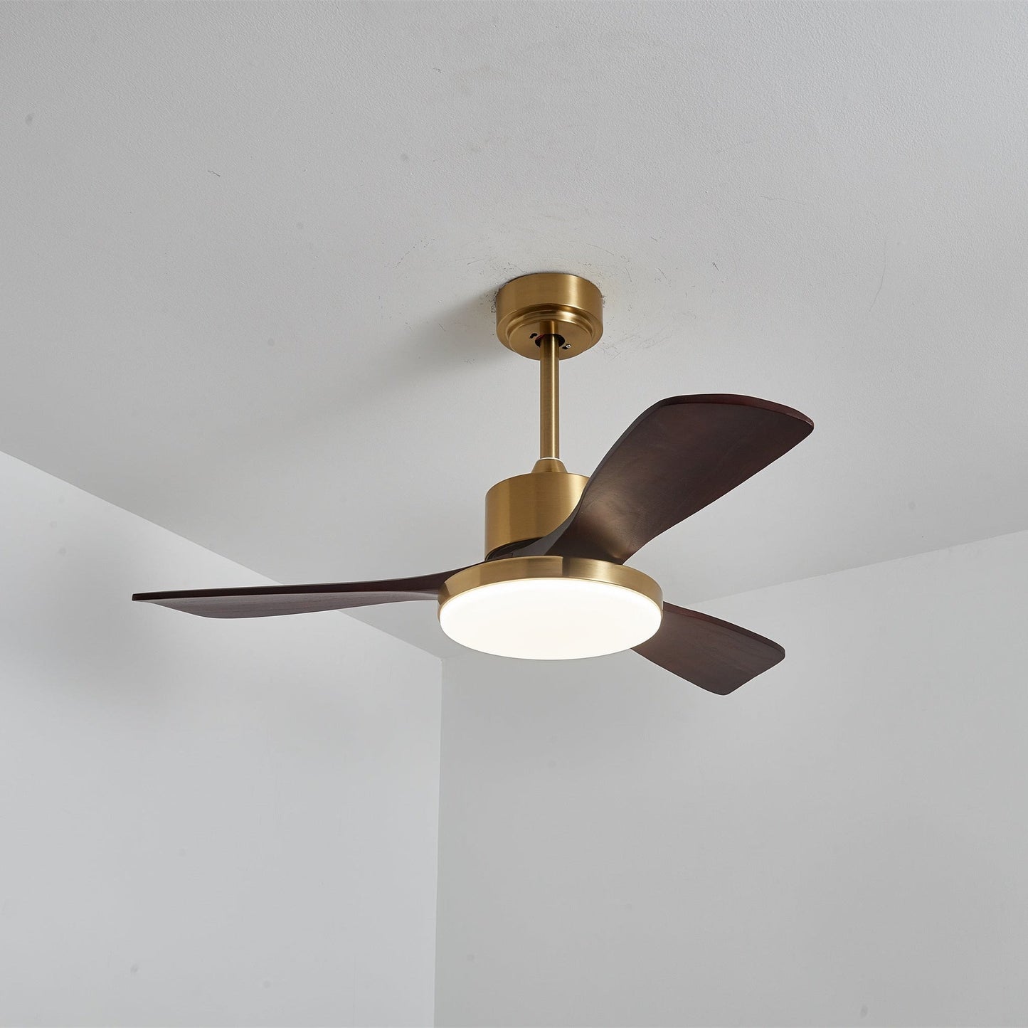 Aurevo Ceiling Fan Light
