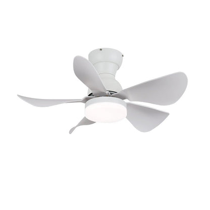 Small Arilia 29" Ceiling Fan Light