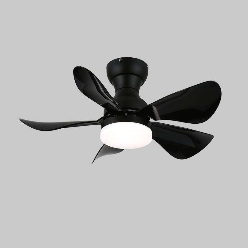 Small Arilia 29" Ceiling Fan Light