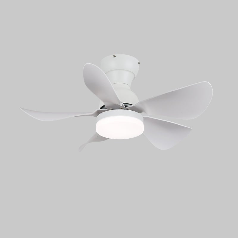 Small Arilia 29" Ceiling Fan Light