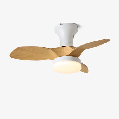 Brisa Ceiling Fan Light