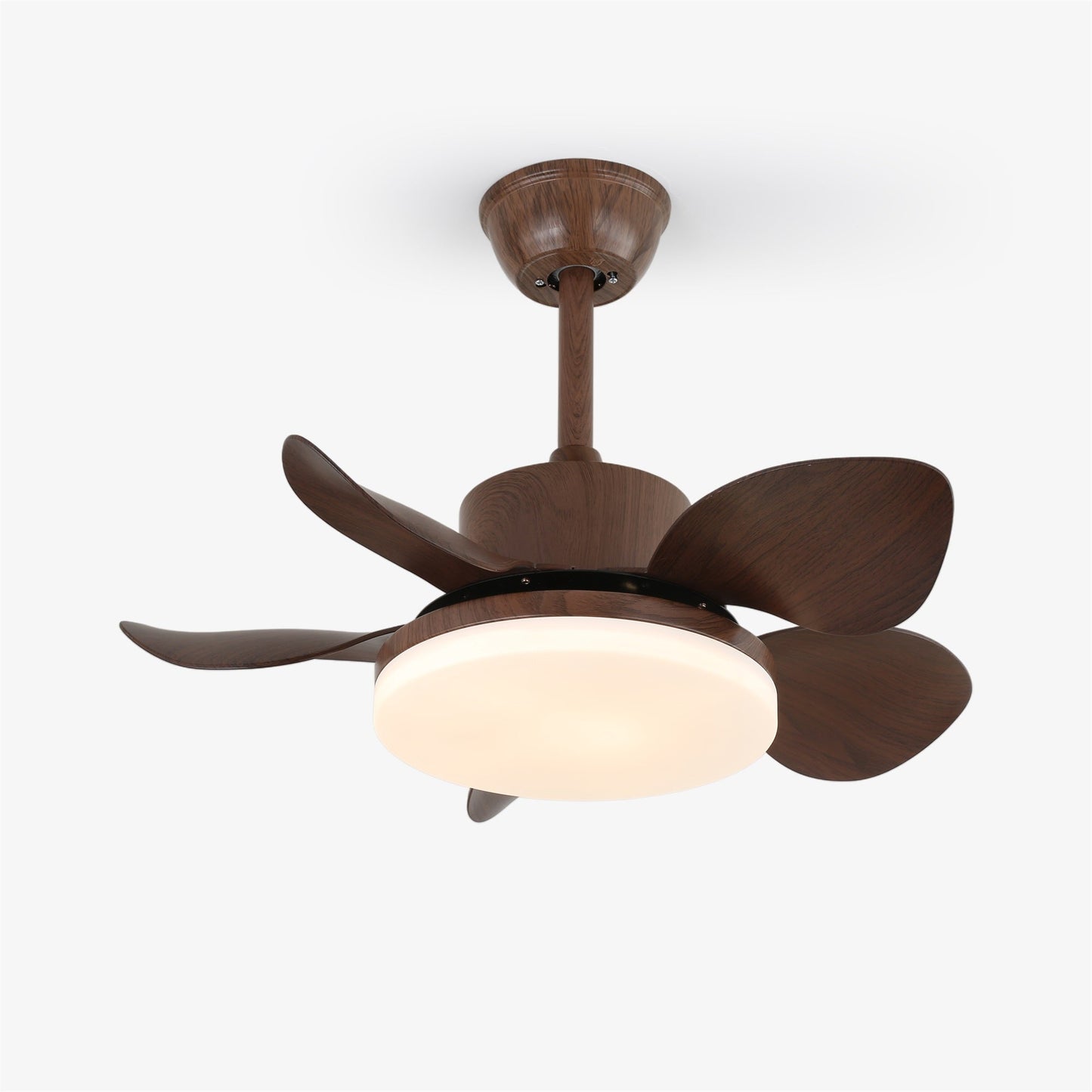 Terra Walnut Ceiling Fan Light