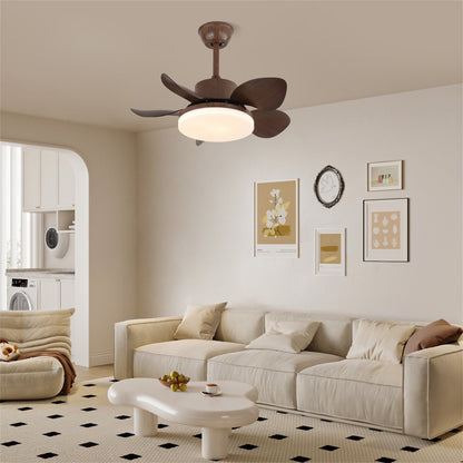 Terra Walnut Ceiling Fan Light