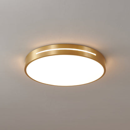 Caelum Ceiling Light