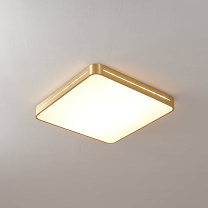 Caelum Ceiling Light