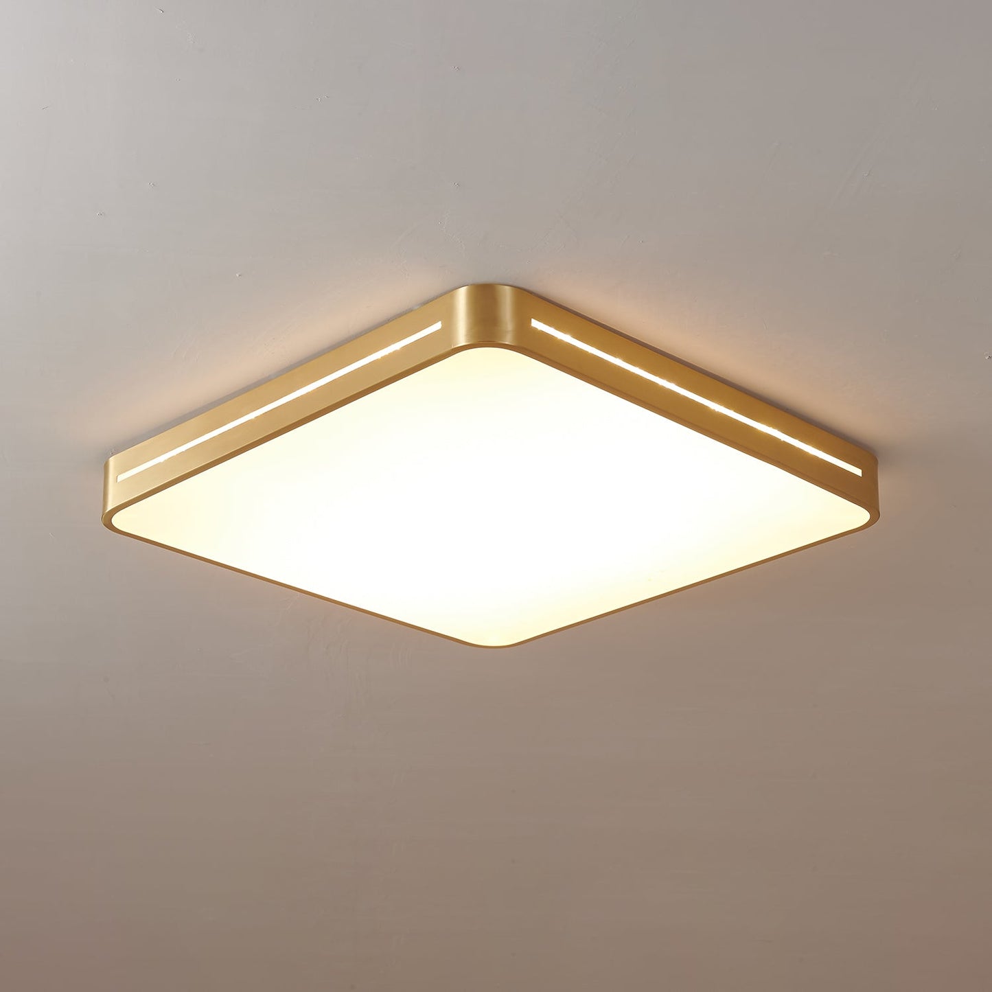 Caelum Ceiling Light