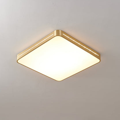 Caelum Ceiling Light