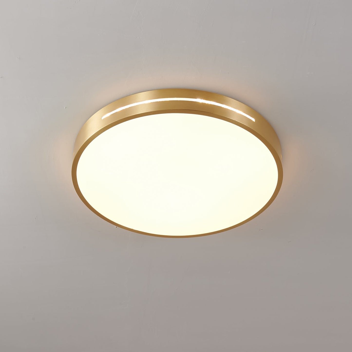 Caelum Ceiling Light