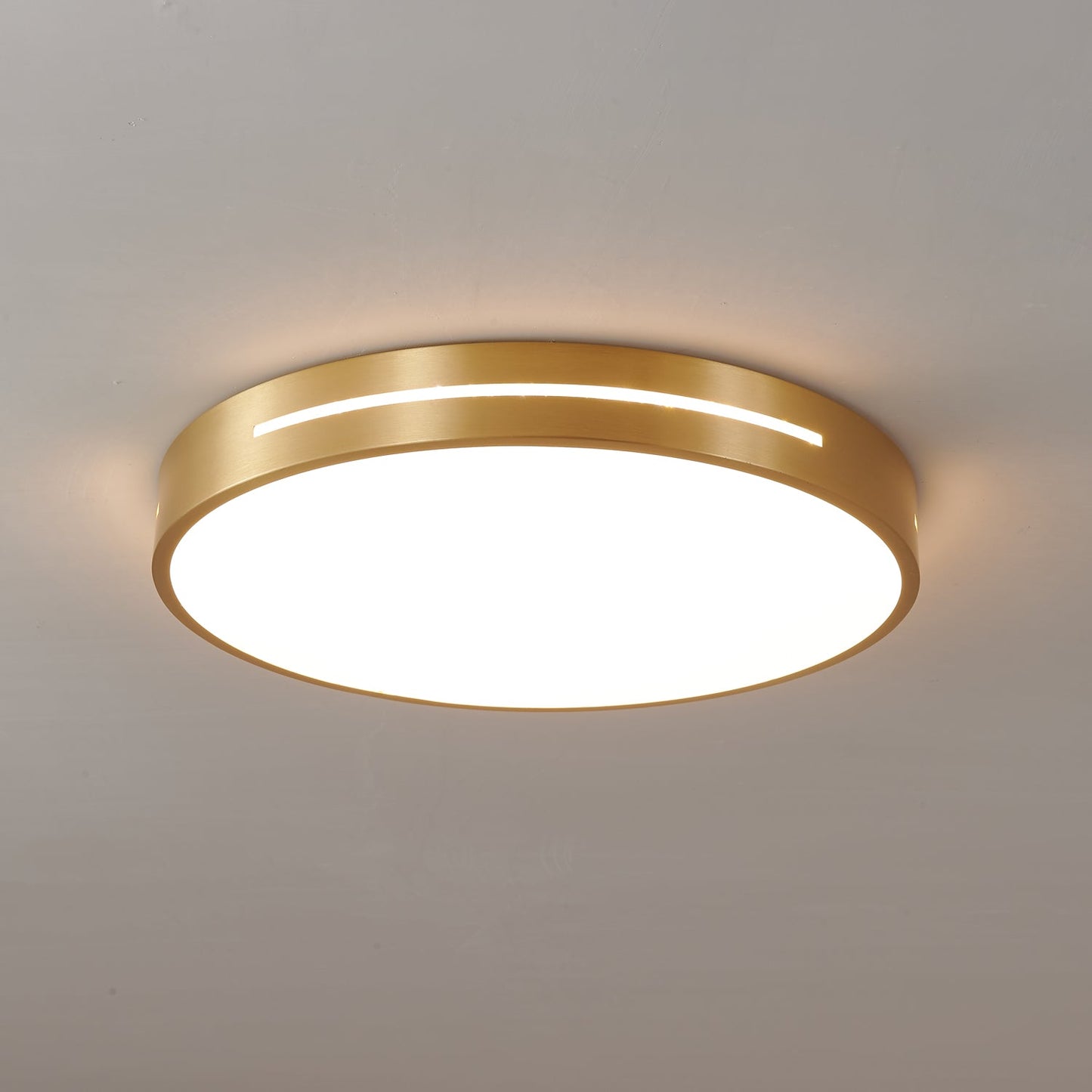 Caelum Ceiling Light