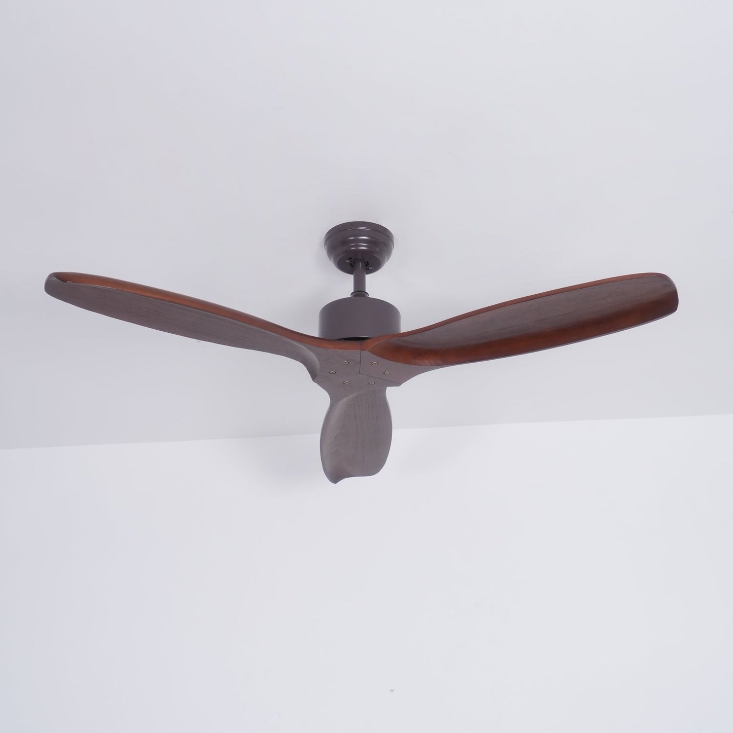 Caesar Kissel 52" Ceiling Fan