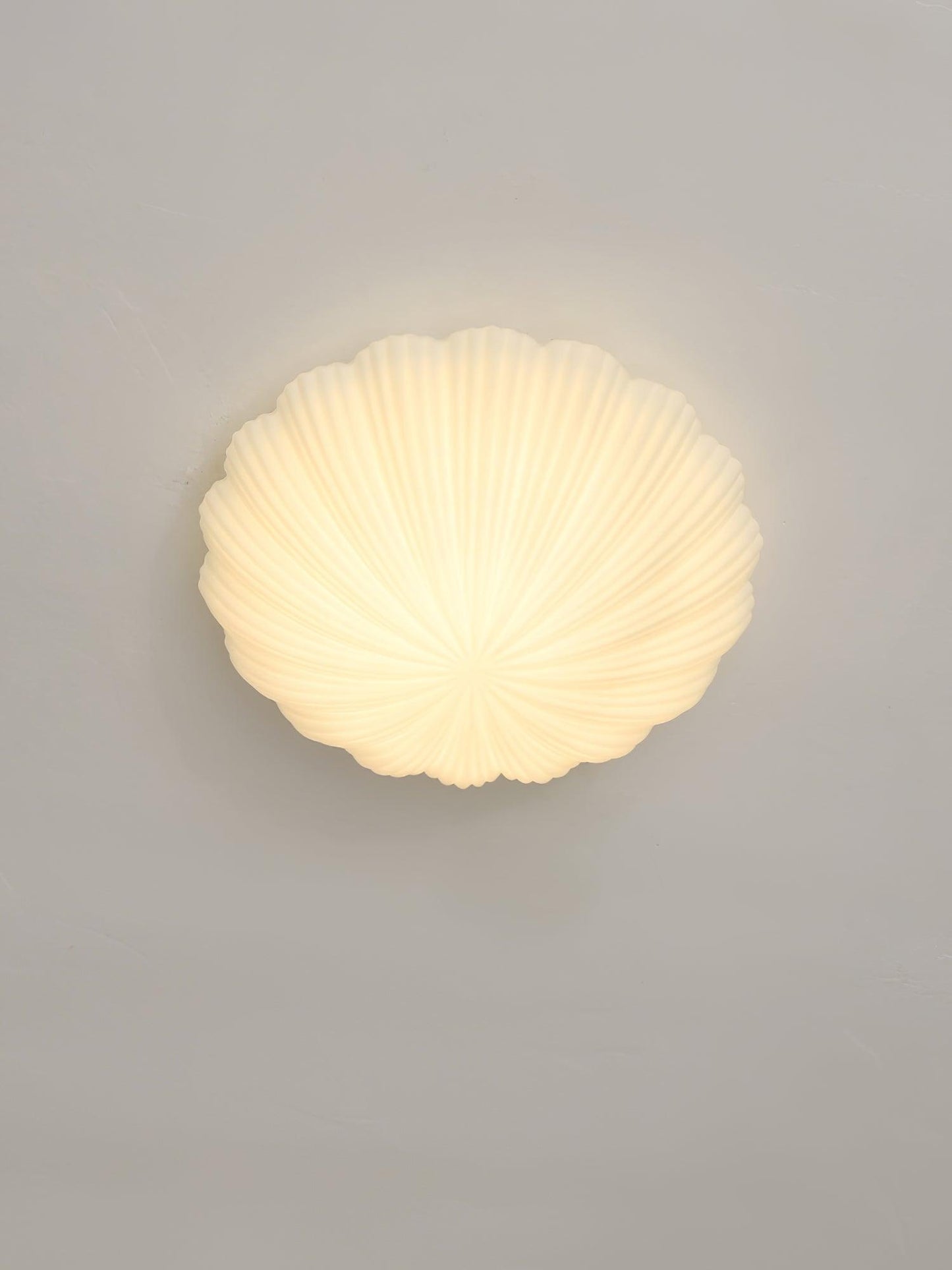 Devan Seashell Deckenlampe