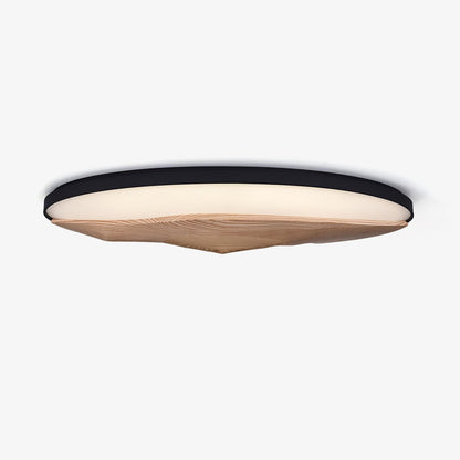 Half-Mountain Ceiling Lamp