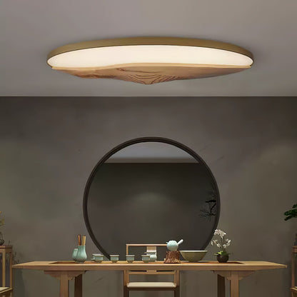 Half-Mountain Ceiling Lamp