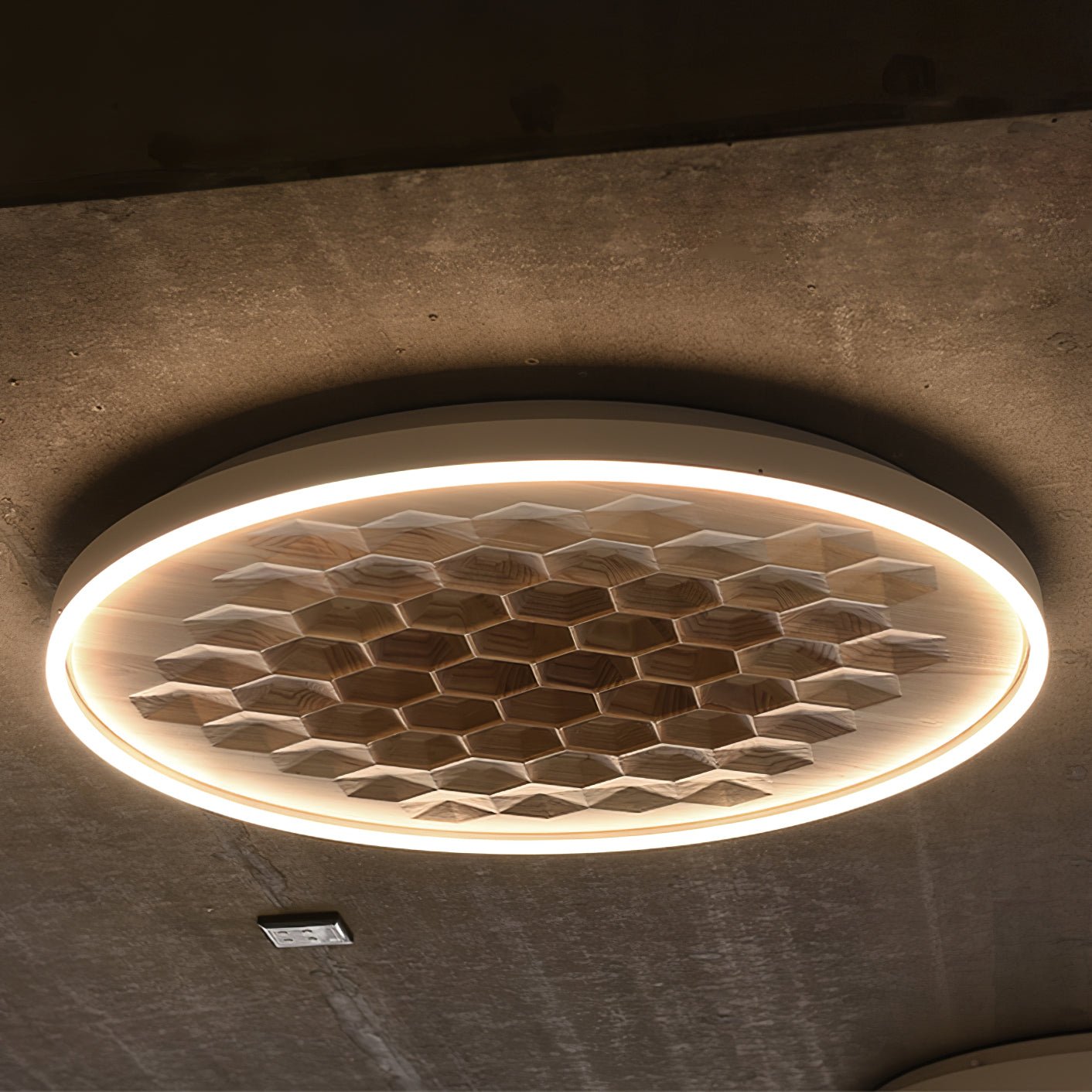 Heartwood Ceiling Lamp