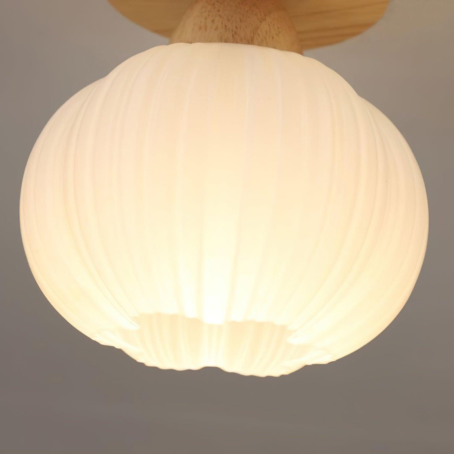 Large Flower Bag Ceiling Lamp